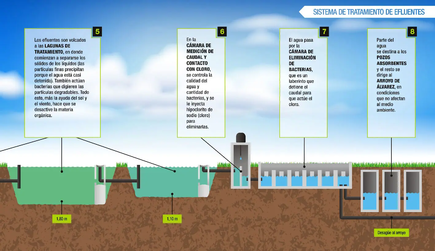 Infografía del sistema de cloacas - Vista 2